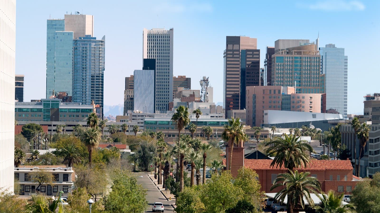 Downtown Phoenix skyline framed by palm trees
